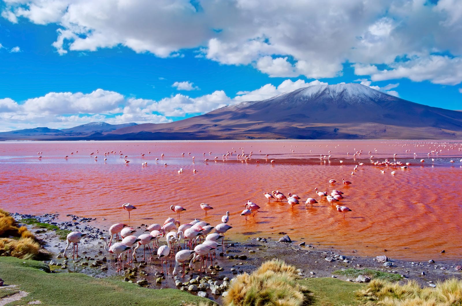 A Bolivia Salt Flats Tour in Uyuni: Everything You Need to Know
