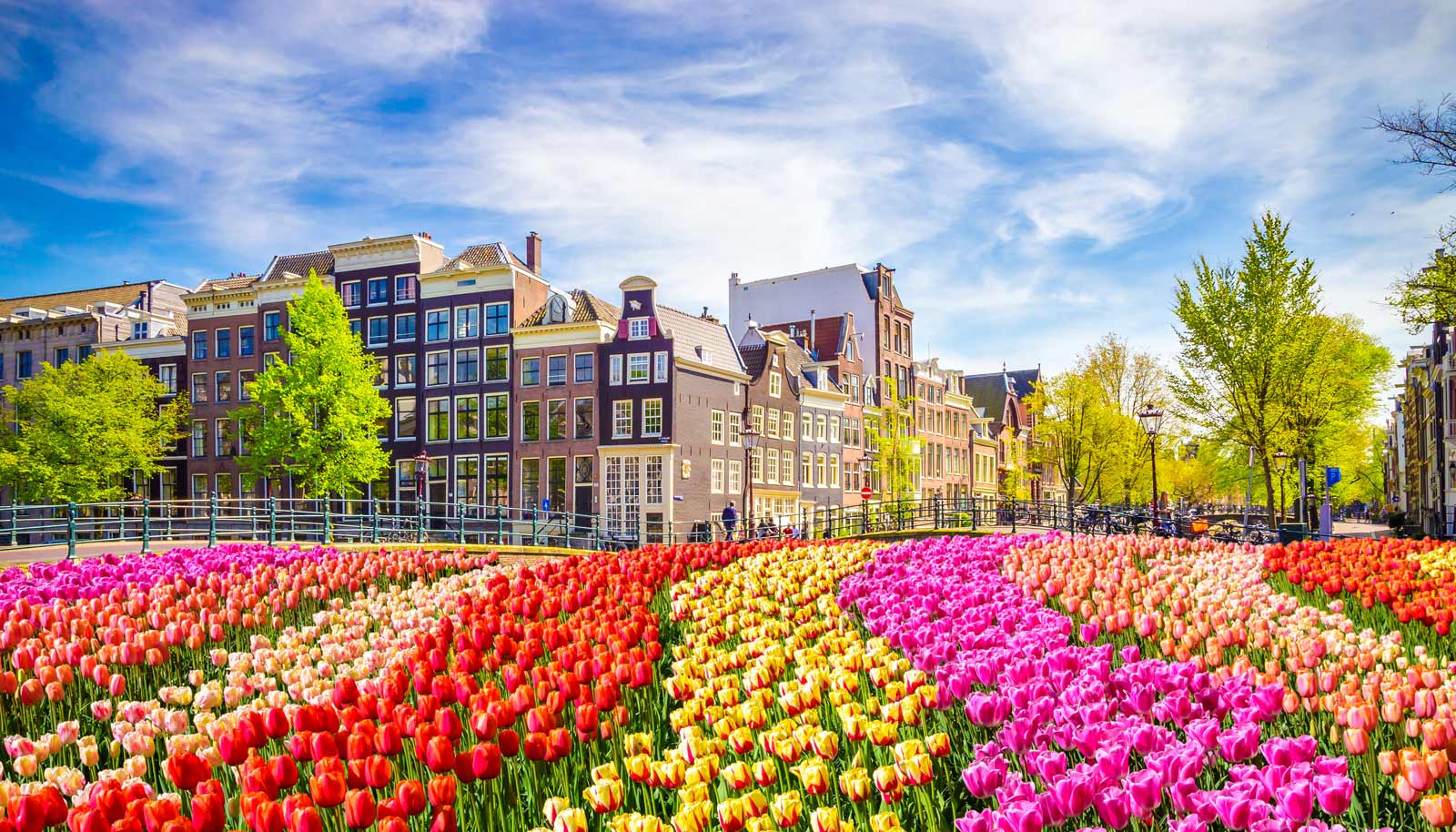 Where to Stay in Amsterdam - Best Hotels & Neighbourhoods