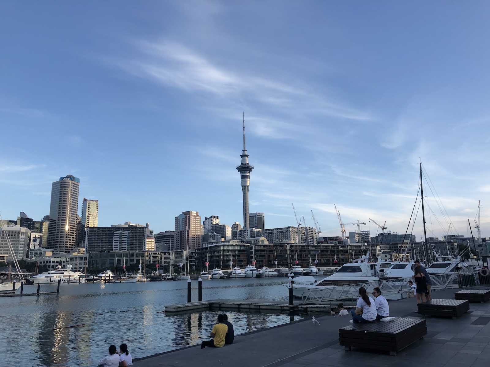 24 Best Things to Do in Auckland in 2022