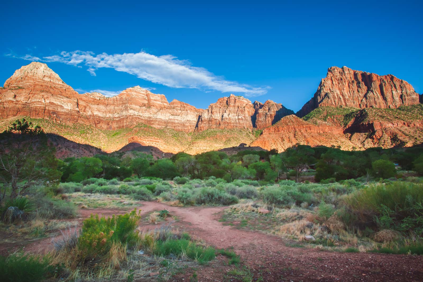 Where to Stay in Zion National Park - Your 2022 Guide