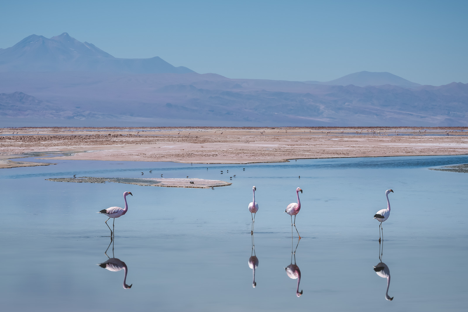 Best Things to do in San Pedro de Atacama