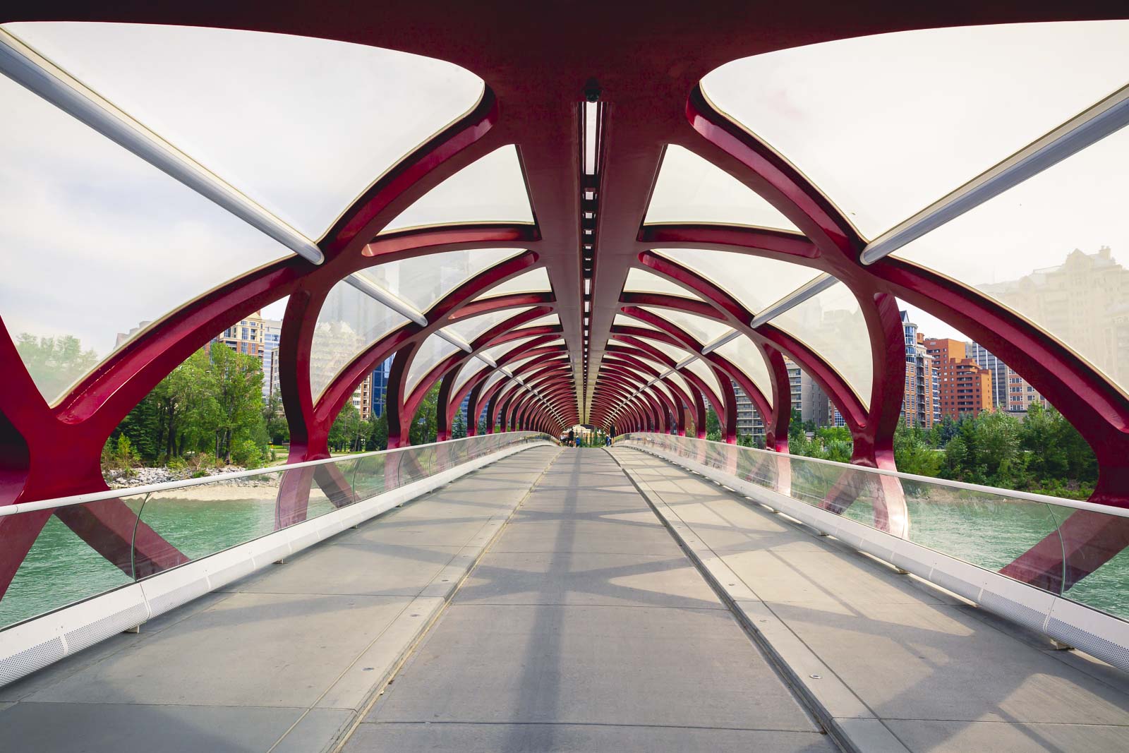 The 20 Best Things to do in Calgary, Alberta